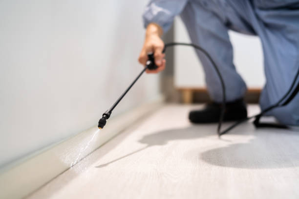 Licensed Pest Control service in Oregon, IL - Show Me Pest Control