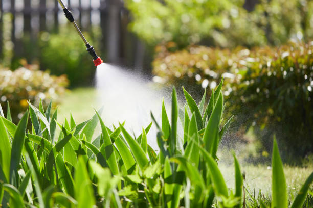Tamper-Resistant Bait Stations for Rodents in Oregon