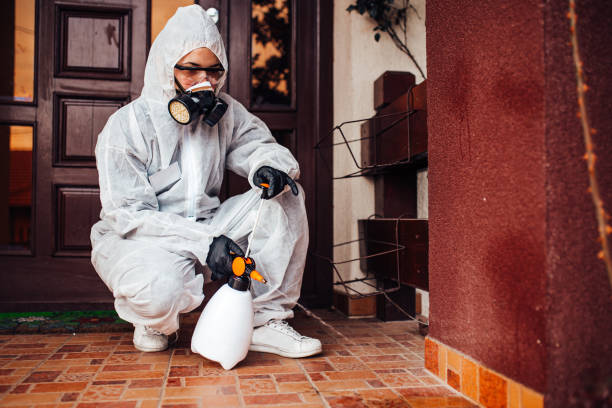 Attic and Crawl Space Rodent Treatment in Oregon