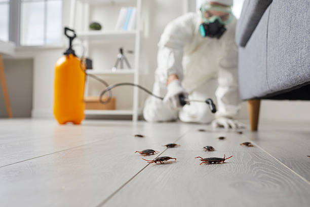 Commercial Rodent Management in Oregon
